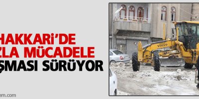 Hakkari'de buzla mücadele çalışması sürüyor