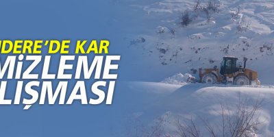 Esendere'de karla mücadele çalışması