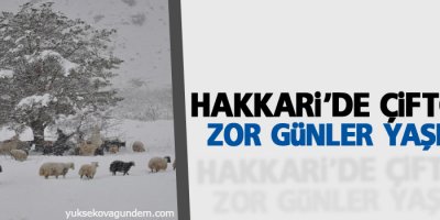 Beklenen kar yağmayınca çiftçiler zor günler yaşadı