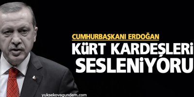 Erdoğan: Kürt kardeşlerime sesleniyorum
