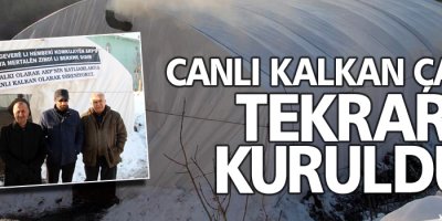 Canlı kalkan çadırı tekrar kuruldu