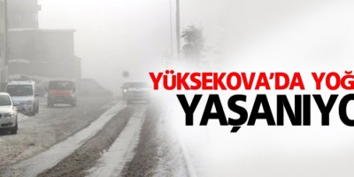 Yüksekova'da yoğun sis yaşanıyor