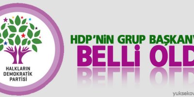 HDP'nin Grup Başkanvekili Belli Oldu