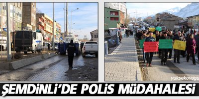 Şemdinli’de polis müdahalesi