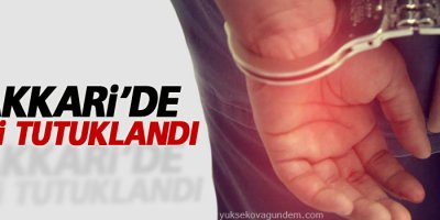 Hakkari'de 2 kişi tutuklandı