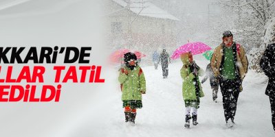 Hakkari'de okullar tatil edildi
