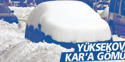 Yüksekova Kar'a Gömüldü