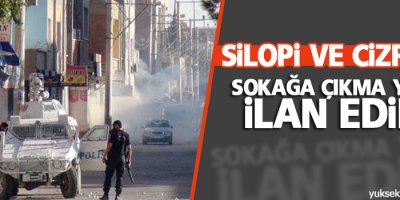 Silopi ve Cizre'de sokağa çıkma yasağı