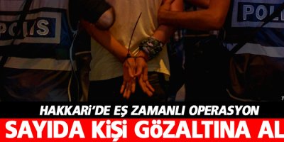 Hakkari'de 15 kişi gözaltına alındı