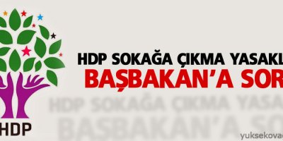 HDP sokağa çıkma yasaklarını Davutoğlu’na sordu