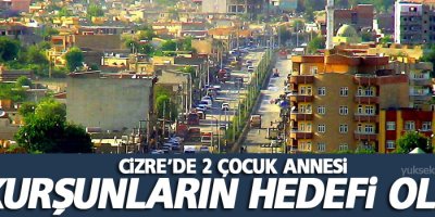 Cizre'de 2 çocuk annesi kurşunların hedefi oldu