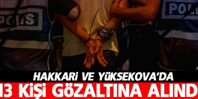 Hakkari ve Yüksekova'da 13 gözaltı