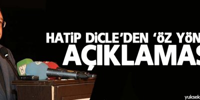 Hatip Dicle'den 'öz yönetim' açıklaması