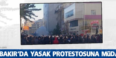 Diyarbakır’da yasak protestosuna müdahale