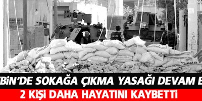 Nusaybin’de iki kişi hayatını kaybetti
