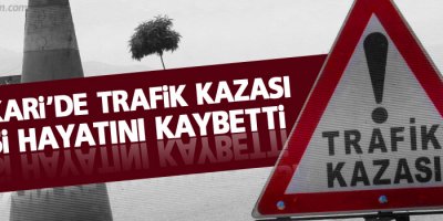 Hakkari'de trafik kazası: 1 ölü