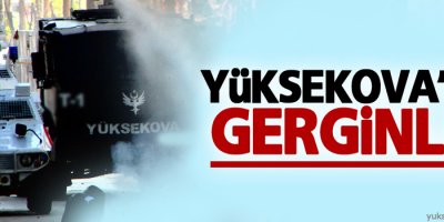 Yüksekova'da polis müdahalesi