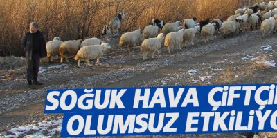 Soğuk hava çiftçileri olumsuz etkiliyor