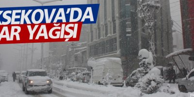 Yüksekova'da kar yağışı devam ediyor
