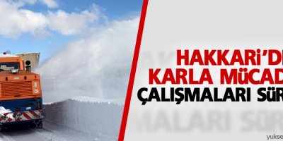 Hakkari'de karla mücadele çalışmaları sürüyor