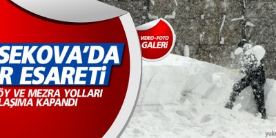Yüksekova'da kar esareti