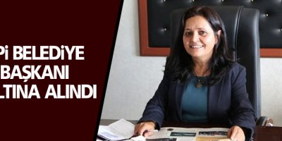 Silopi Belediye Eş Başkanı gözaltına alındı