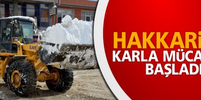 Hakkari'de karla mücadele başladı