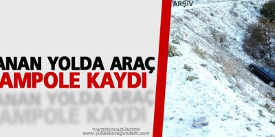 Buzlanan yolda araç şarampole kaydı
