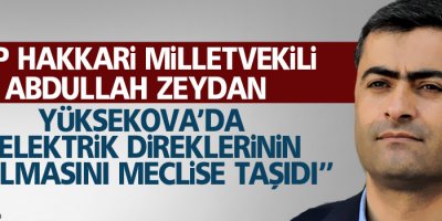 HDP'li Zeydan, Yüksekova'da elektrik direklerinin yıkılmasını meclise taşıdı