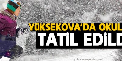 Yüksekova'da okullar tatil edildi