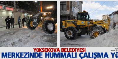Yüksekova Belediyesi Hummalı çalışma yürüttü