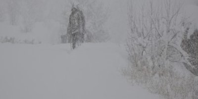 Hakkari'de kapanan köy yolları açılıyor