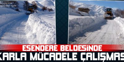 Esendere Beldesinde karla mücadele çalışması