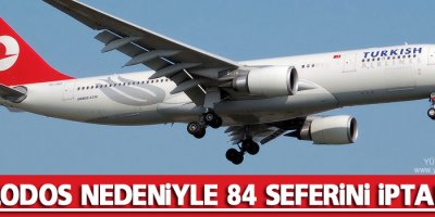 THY lodos nedeniyle 84 seferini iptal etti