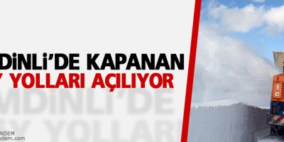 Şemdinli'de kapanan köy yolları açılıyor