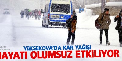Yüksekova'da kar yağışı hayatı olumsuz etkiliyor