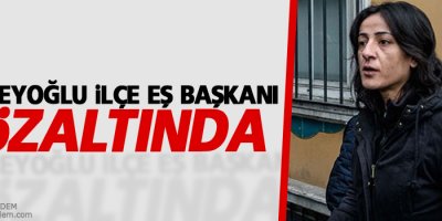 HDP Beyoğlu İlçe Eş Başkanı gözaltında
