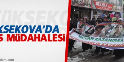 Yüksekova'daki Yürüyüşe Polis Müdahalesi