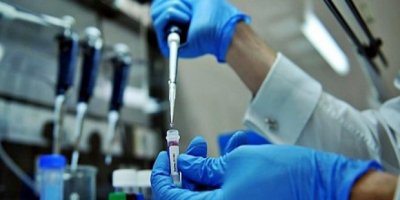 Domuz gribi nedir, belirtileri neler?