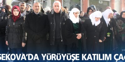 Yüksekova'da yürüyüşe katılım çağrısı
