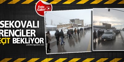Yüksekovalı öğrenciler üst geçit bekliyor