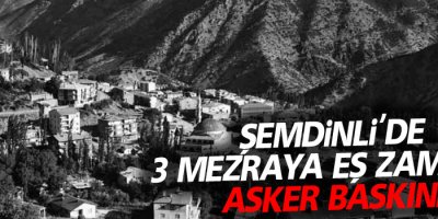 Şemdinli'de 3 mezraya eş zamanlı asker baskını