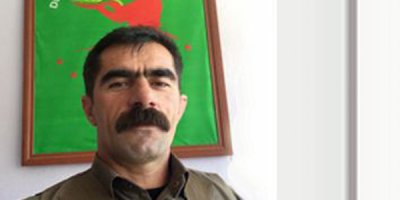 HDP Şemdinli İlçe Eşbaşkanı gözaltına alındı