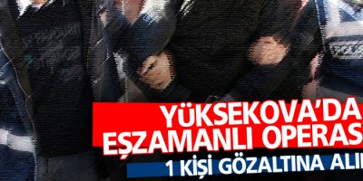Yüksekova'da eşzamanlı operasyon: 1 gözaltı
