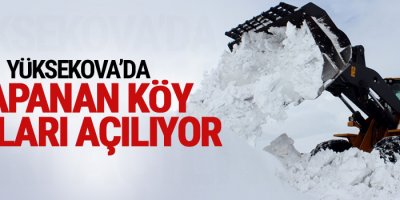 Yüksekova'da kapanan köy yolları açılıyor