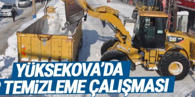 Yüksekova'da kar temizleme çalışmaları sürüyor