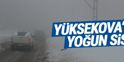 Yüksekova'da yoğun sis