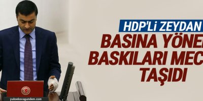 HDP'li Zeydan basına yönelik baskıları Meclis'e taşıdı