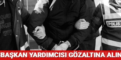 Erciş Belediye Eşbaşkan Yardımcısı Gözaltına Alındı