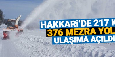 Hakkari’de 217 köy 376 mezra yolu...